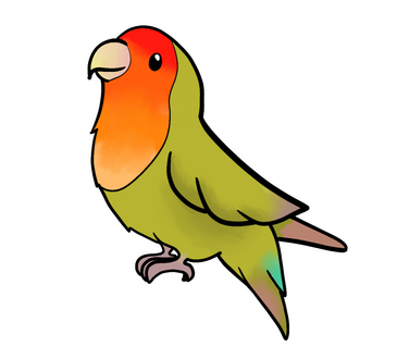 PiPu
