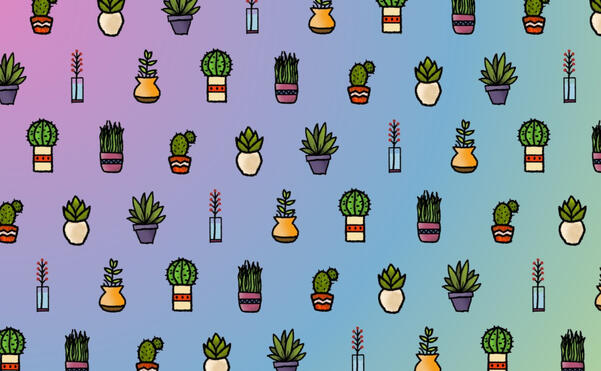 Plants Plants